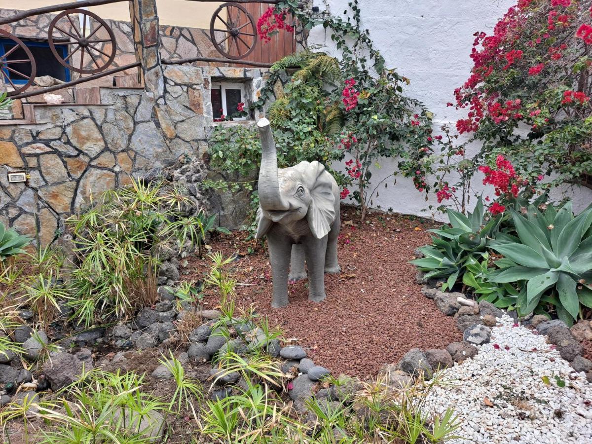 Apartment Casa Don Quijote: Oceanview Terrace & Teide Volcano Vistas