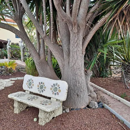 Tenerife Apartment 100M2 Casa De Don Quijote With A Terrace Of 100M2 With A View Of The Ocean And Teide Volcano And A Garden Of 600M2 Icod De Los Vinos Exterior photo